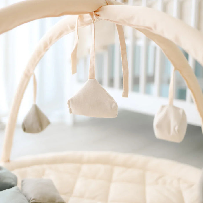 Snuggle Me® Organic Cotton Baby Play Gym with 9 Sensory Toys