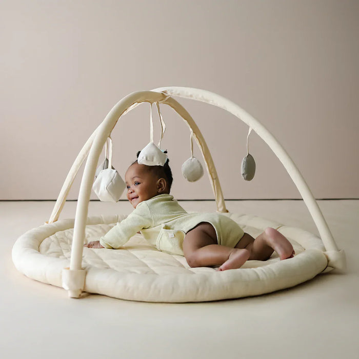 Snuggle Me® Organic Cotton Baby Play Gym with 9 Sensory Toys