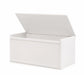 White hard wooden storage box with safety lid on a white background - goldtex