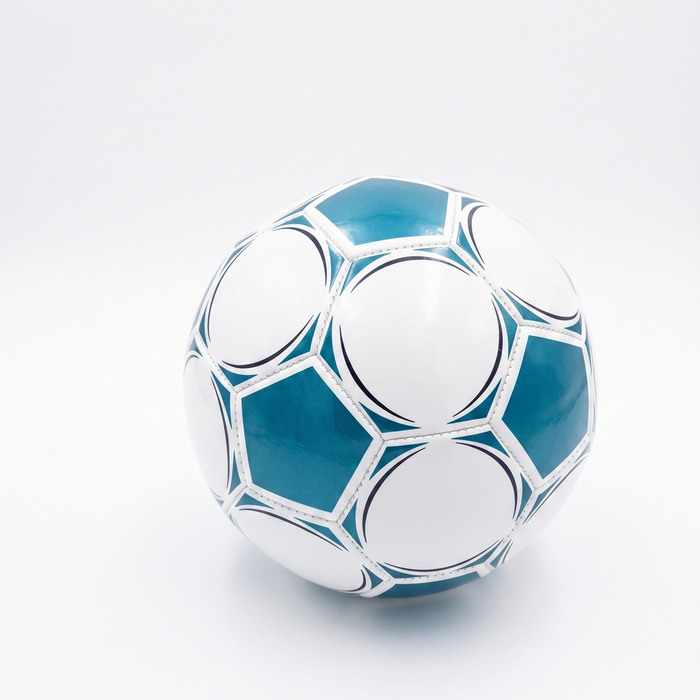 Classic Blue & White Youth Soccer Ball – Standard Size for Practice & Play