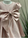 Teter Warm Ailani pink metallic party dress with large front bow displayed on mannequin