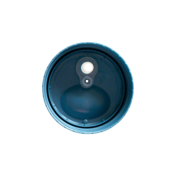 The First Years® - The First Years Bluey Straw Cup, 12 Oz