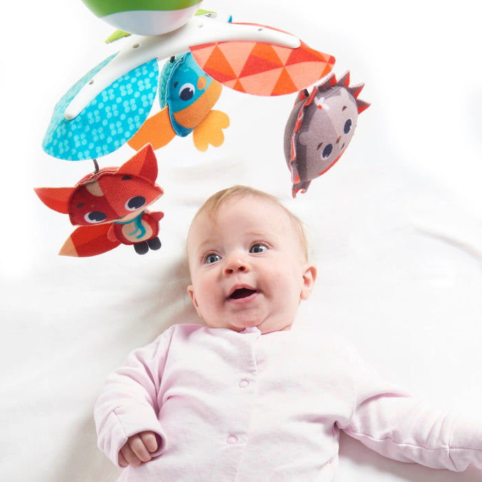 Ensemble Gymini & Mobile à Emporter Tiny Love® Meadow Days