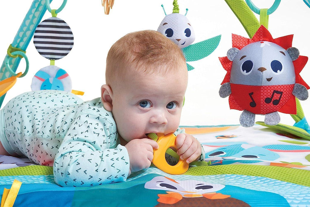 Tiny Love® - Tiny Love Meadow Days Sunny Day Gymini