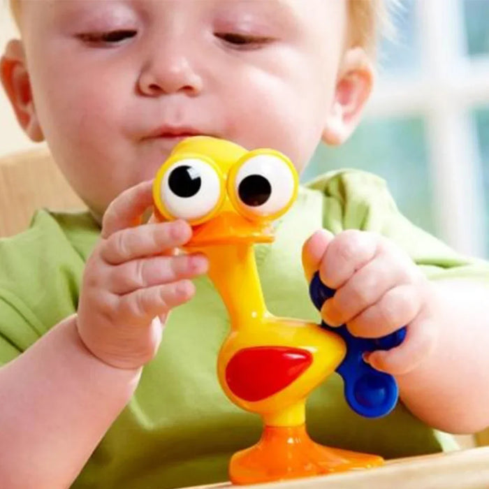 TOLO® - Tolo Bio Crazy Eyed Bird