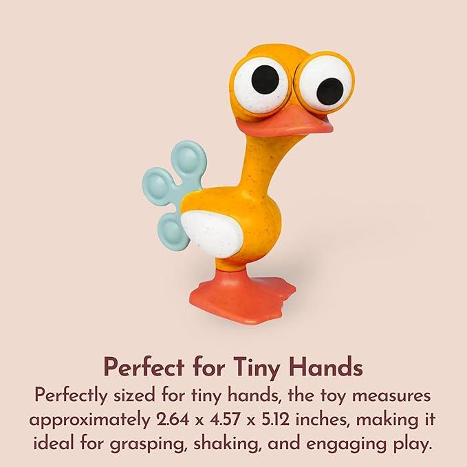 TOLO® - Tolo Bio Crazy Eyed Bird