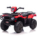 Voltz Toys - Voltz Toys 12V Kids Ride-On Quad