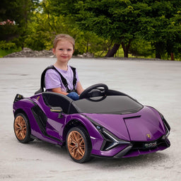 Voltz Toys - Voltz Toys Lamborghini SIAN FKP 37 12V Ride on Car with Scissor Doors