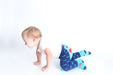 Zoocchini® - Zoocchini grip+easy Comfort Crawler Legging & Sock Set