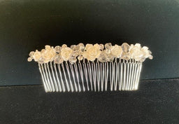Anja's Dream - Anja's Dream Joan Calabrese Comb