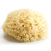 Bellini® - Bellini Sea sponge for babies│0 months +