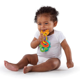 Bright Starts® - Bright Starts License to Drool