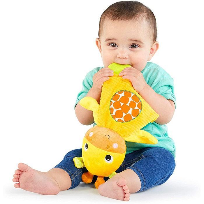 Bright Starts® - Bright Starts Snuggle & Teethe - Soothing Teether Plush