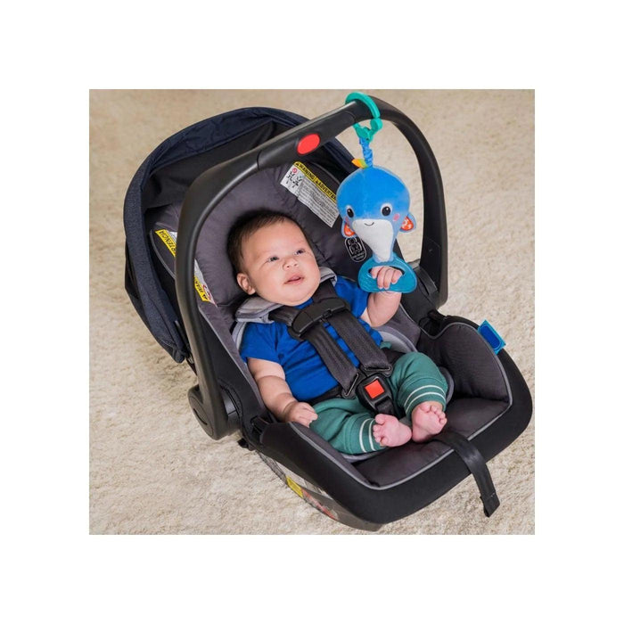 Bright Starts® - Bright Starts Whale-a-Roo Pull & Shake Activity Toy