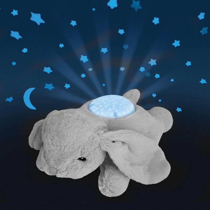 Cloud B® - Cloud B Dream Buddies™ - Bunny