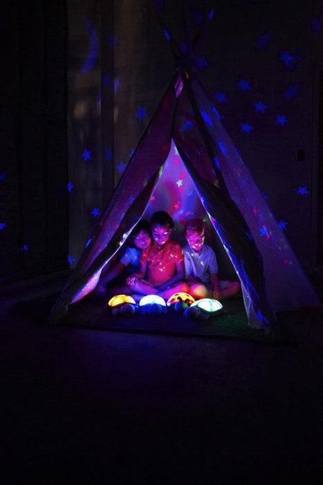 Cloud B® - Cloud B Twilight turtle