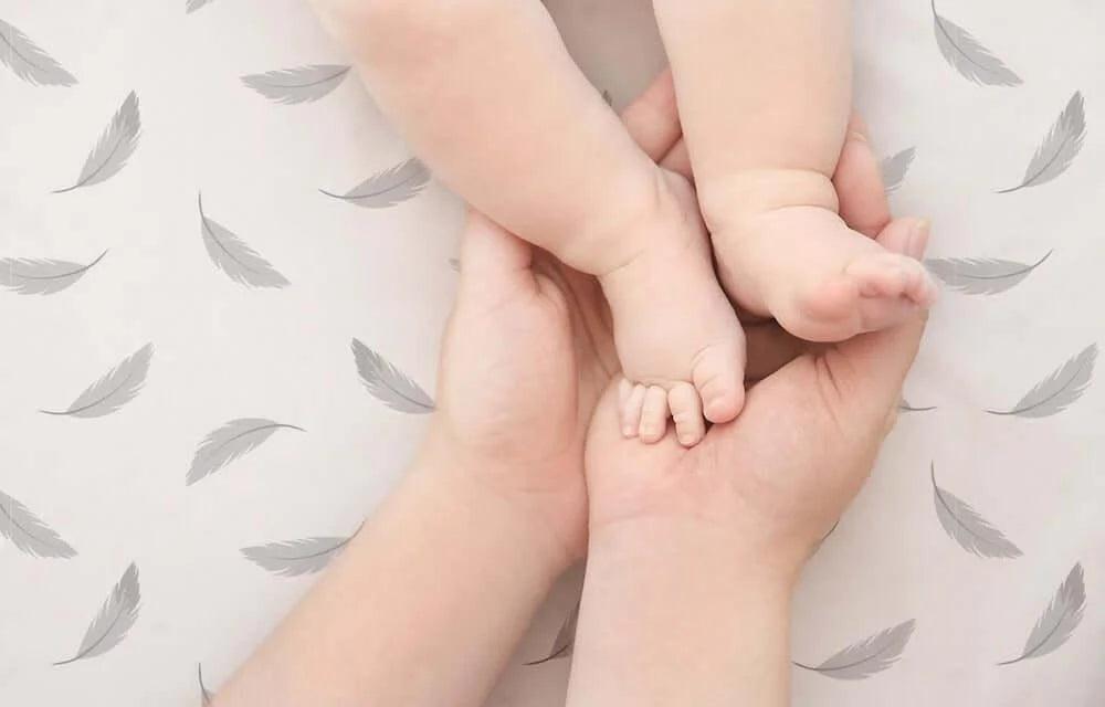 Kushies® - Kushies Flannel | Receiving Blanket - Grey Feathers