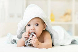 Kushies® - Kushies Silisafari Silicone Teether Zebra