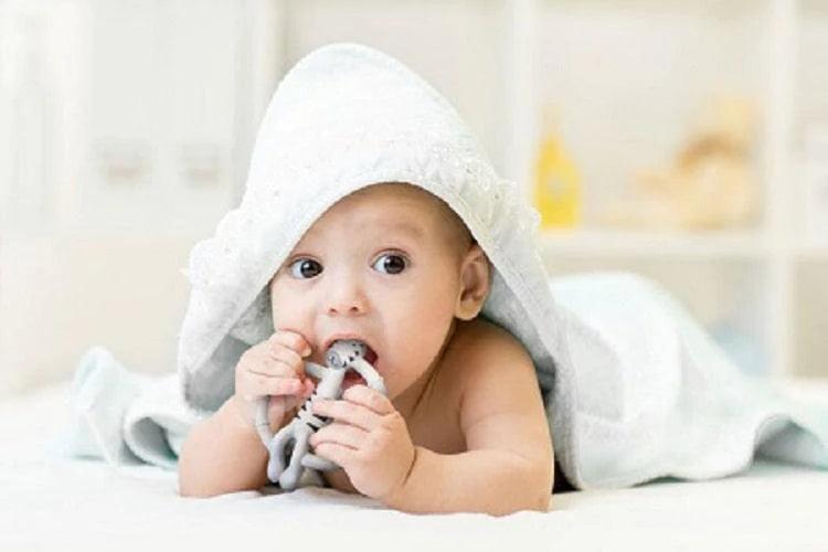 Kushies® - Kushies Silisafari Silicone Teether Zebra