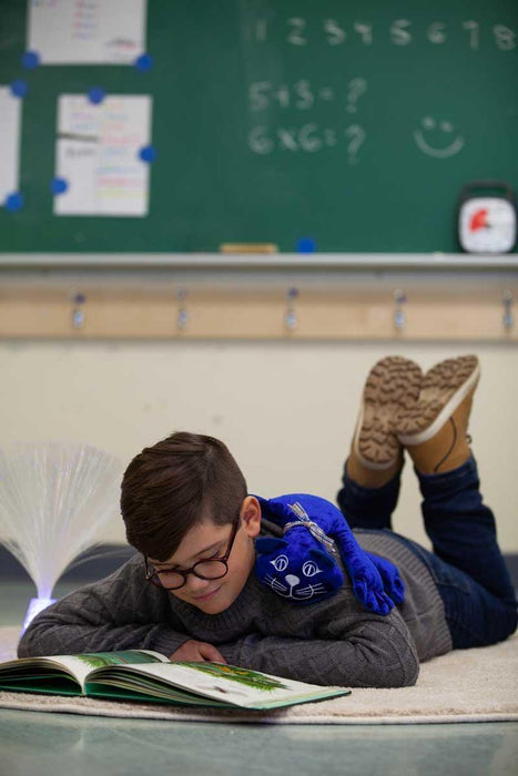 Manimo® - Manimo FDMT Sensory Weighted Animal Plush Toy - Cat - 1kg /2kg