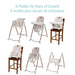 Maxi Cosi - Maxi Cosi Minla 6-in-1 High Chair