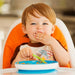 Munchkin® - Munchkin Stay Put™ Suction Plate