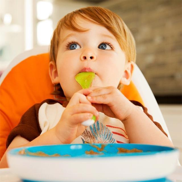 Munchkin® - Munchkin Stay Put™ Suction Plate