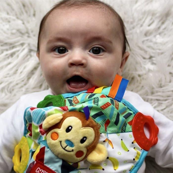 Nuby® - Nuby Teething Animal Toy & Blankie