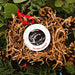 Pearhead® - Sonogram Ornament "Our Little Present"