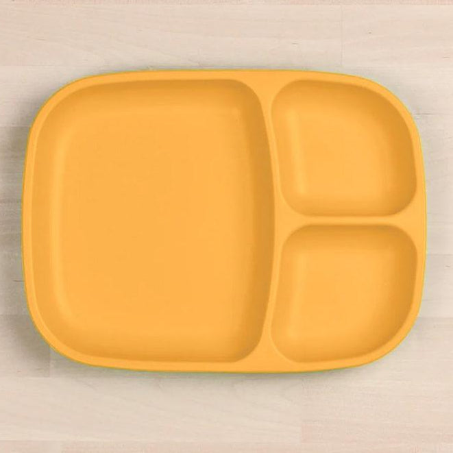 RePlay - Re-Play Recycled Plastic Division Plate - Large