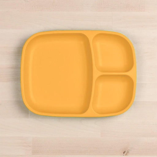 RePlay - Re-Play Recycled Plastic Division Plate - Large