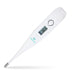 wellworks - wellworks™ Digital & Clinical Thermometer