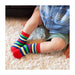 Zoocchini® - Zoocchini 3pair Comfort Terry Socks Devin the Dinosaur 0-24M